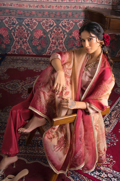 Neerja Ombre Silk Organza Suit Set