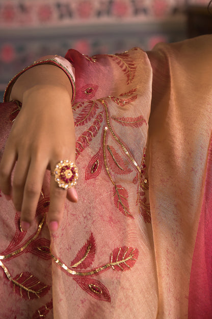 Neerja Ombre Silk Organza Suit Set