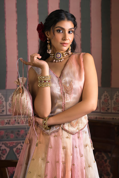 Blush Multicolour Ombré Organza Lehenga Set