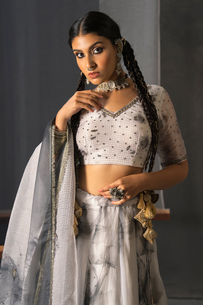 Midnight Organza Lehenga Set