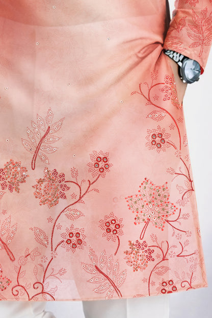 Aarav Blush Ombre Embroidered Kurta Set