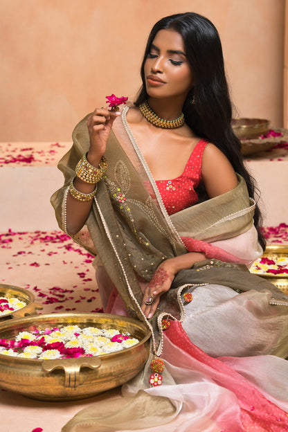 Coral Ombre Bandhani  Matic Tissue Saree
