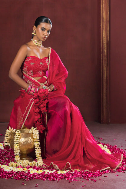 Cherry Bloom Red Satin Silk Organza Saree