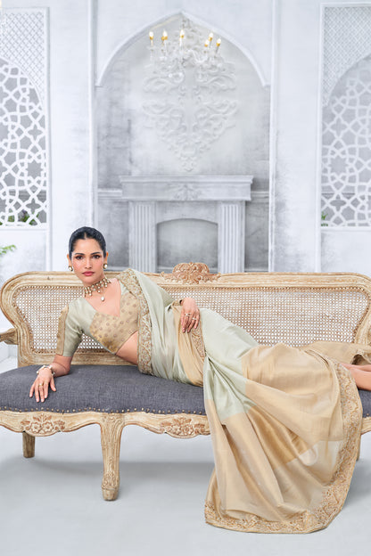 Cream and Beige Dual-Tone Embellished Saree with hand embroidered Border