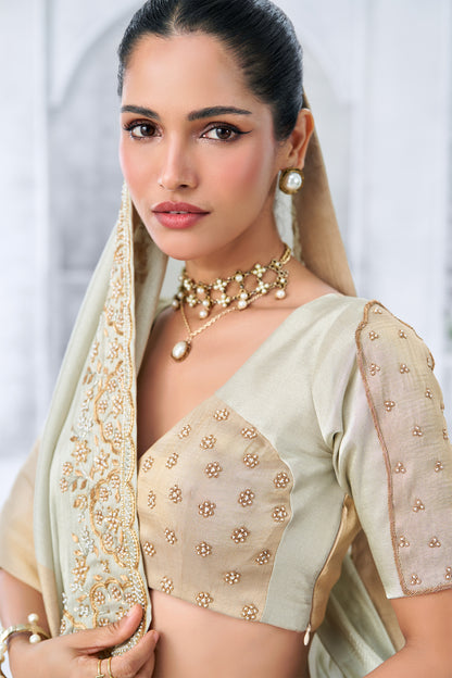 Cream and Beige Dual-Tone Embellished Saree with hand embroidered Border