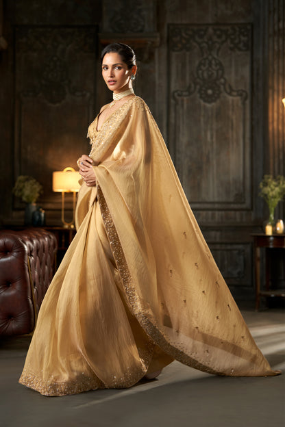Embellished Gold Saree with Scalloped Border and V-Neck Blouse