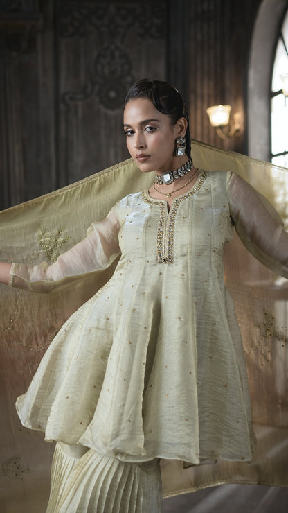 Meher Champagne Beige Sharara Set