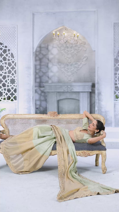 Cream and Beige Dual-Tone Embellished Saree with hand embroidered Border