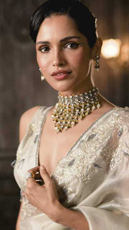 Silver-White Embellished Saree with hand work Border and Embroidered Blouse